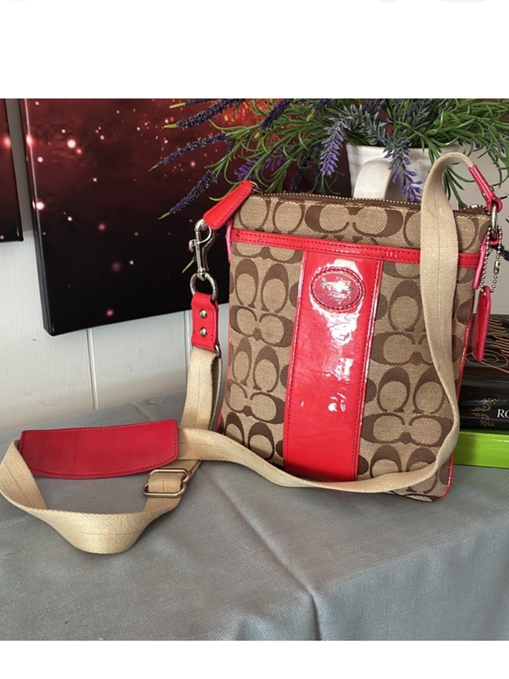 Coach Signature Crossbody Bag